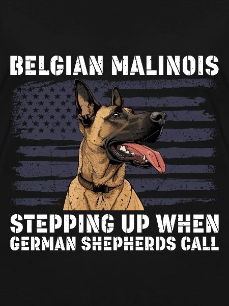 BELGISK MALINOIS STÅR OPP NÅR SEGEREN RINGER