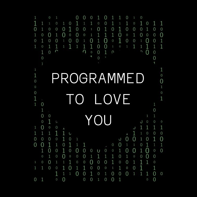 Entwickler Coder Programmierer