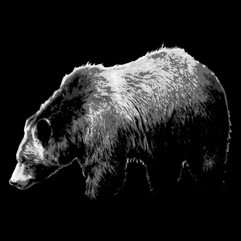 Bear Grizzly Bear Brown Bear Predator Wildlife Bears