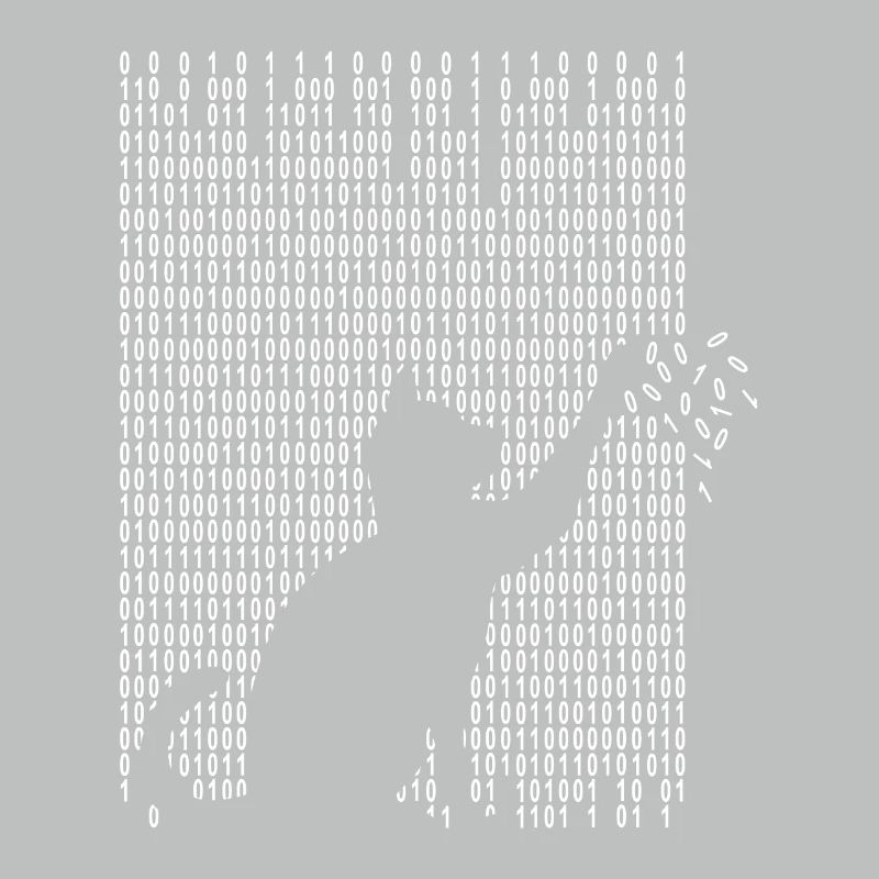 Chat joue avec le code binaire