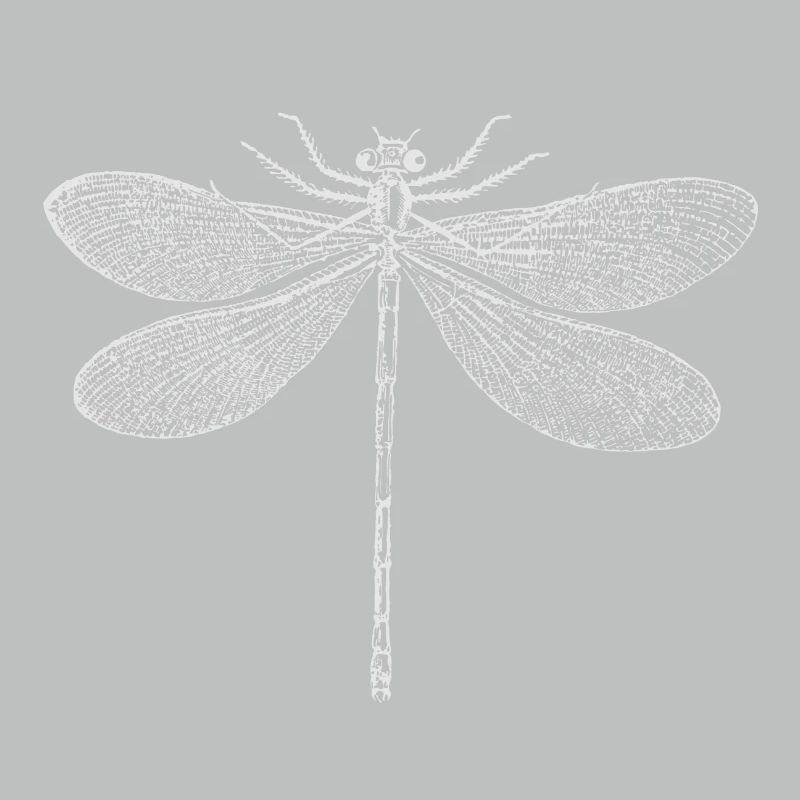 Libelle