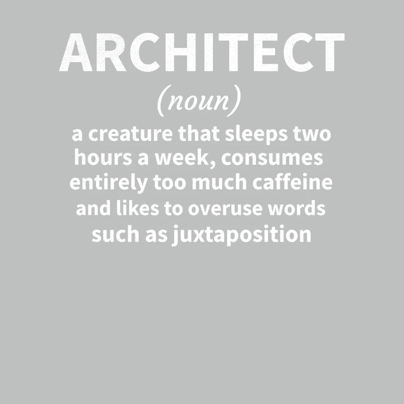Architecture Gift Architecture Student Architect