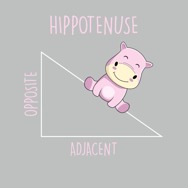 Hippotenuse Math Teacher