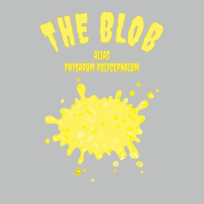 The Blob alias Physarum polycephalum Schleimpilz