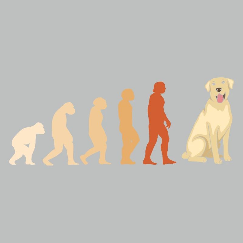 Evolution Labrador Retriever