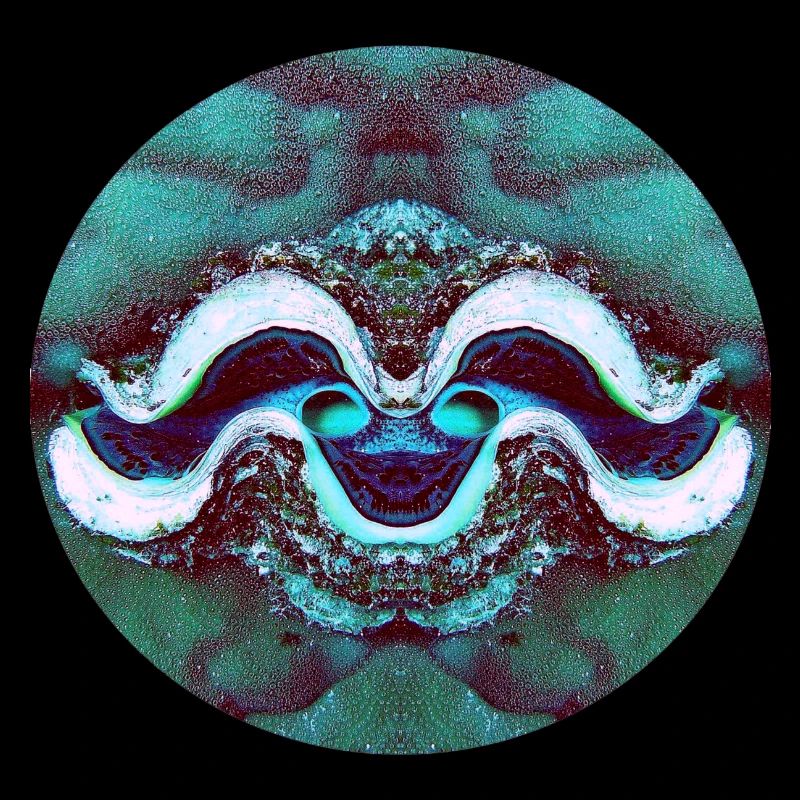 Nature Mandala Smiling Shell