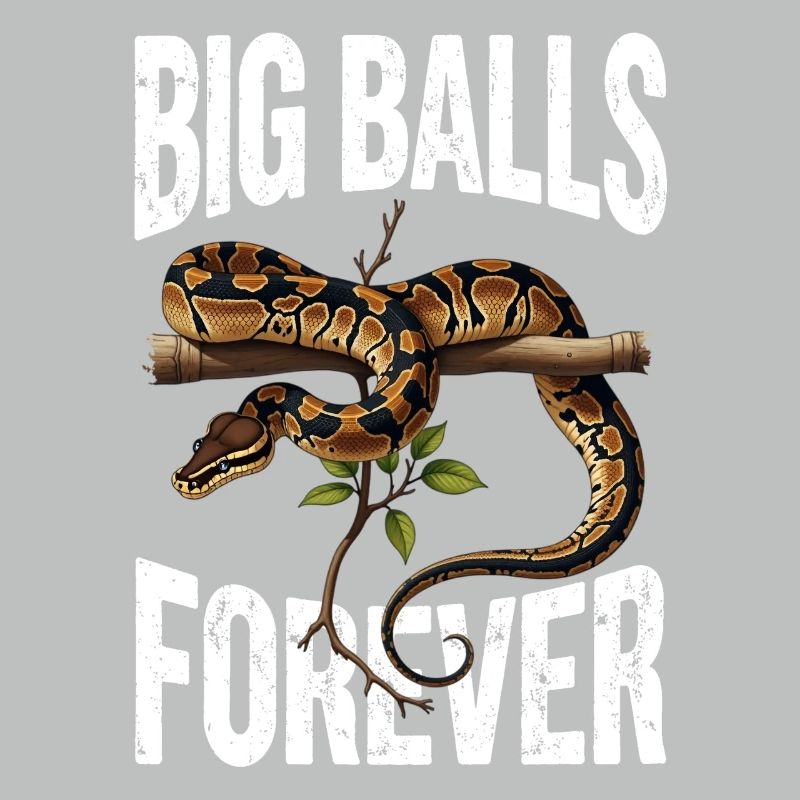 Python roi Serpents Amateurs de terrarium Python