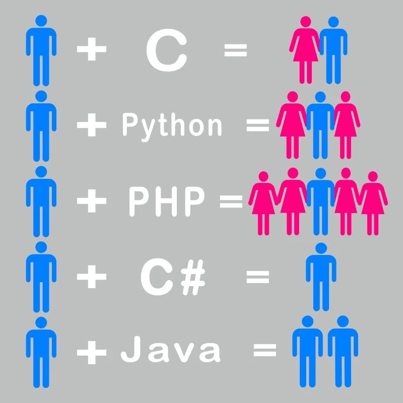 Programmeur
