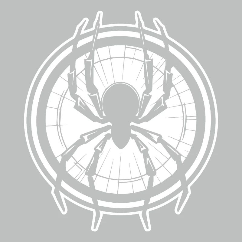 Spider spiders animals