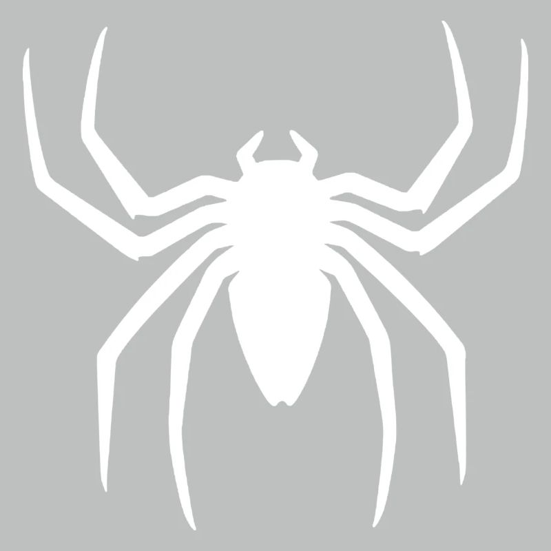 Tarantula tarentule arachnide Spider Spider