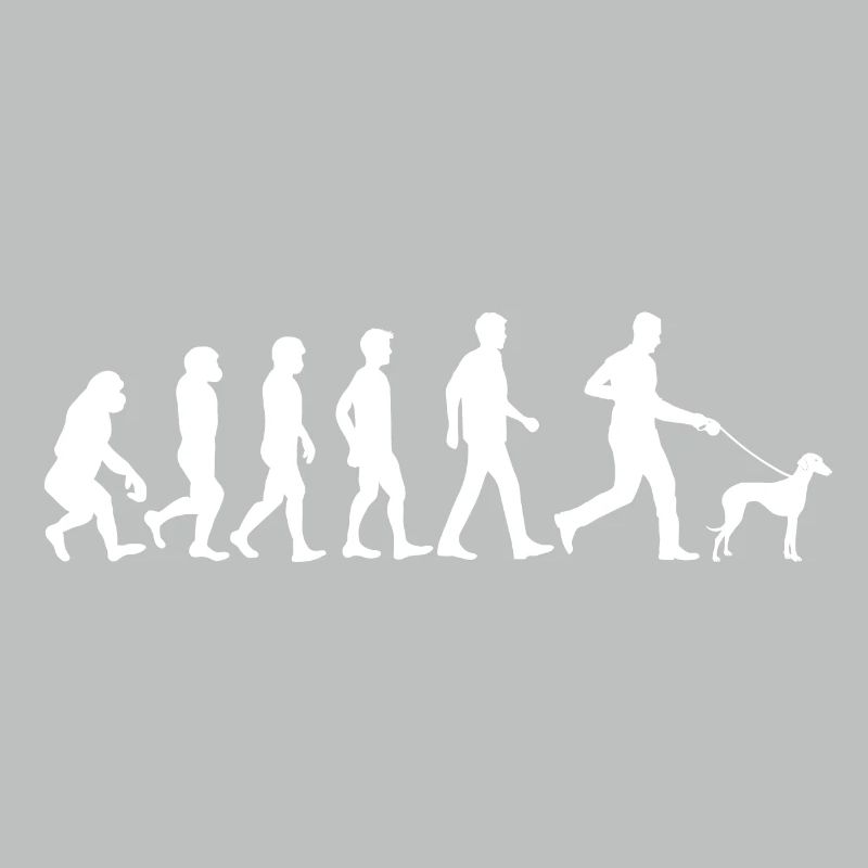 Sloughi Dog Evolution Dog Owner