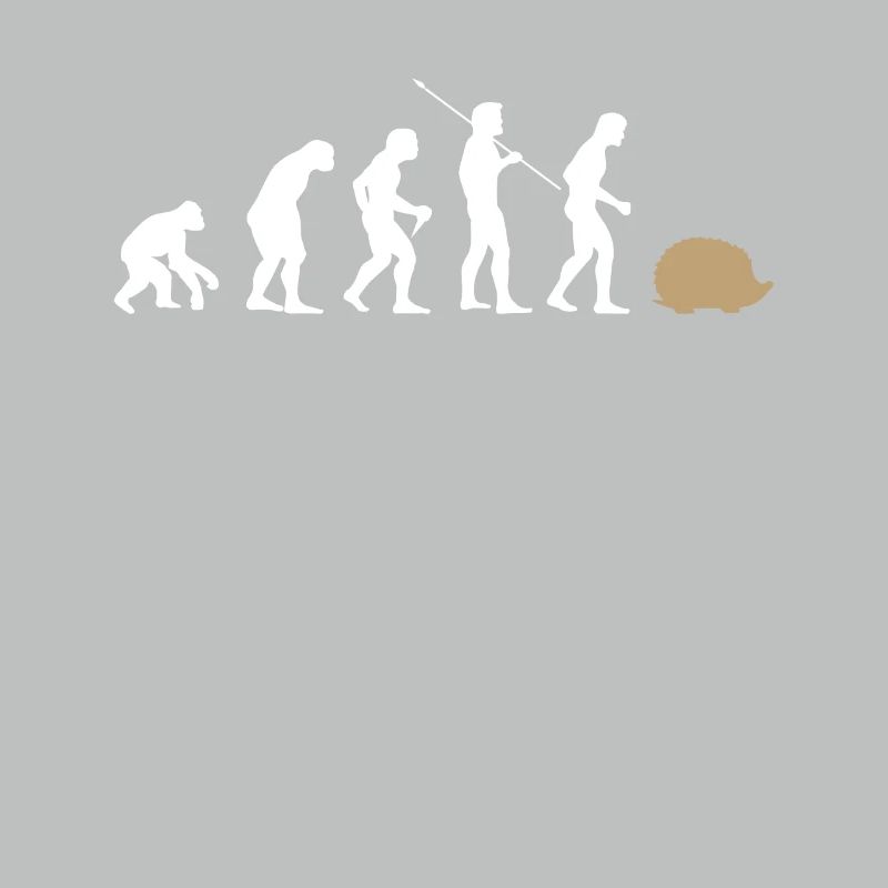 Évolution hérisson