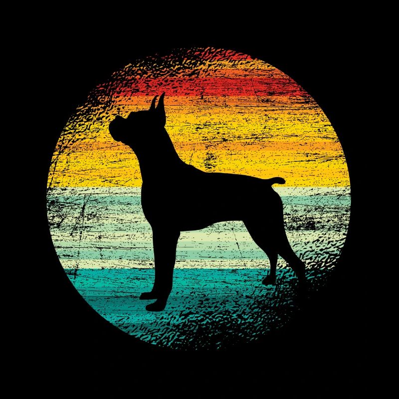 Boxer