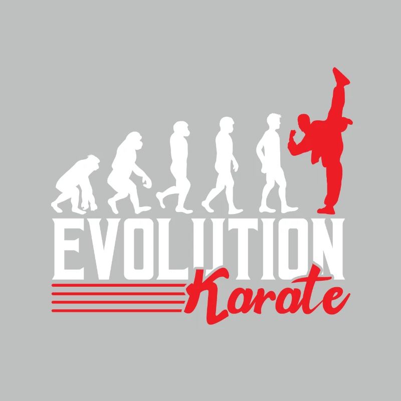 Karaté évolution