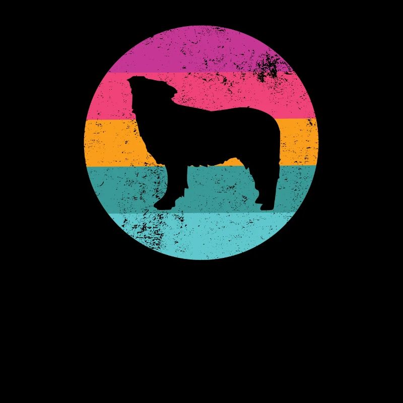 Retro Border Collie
