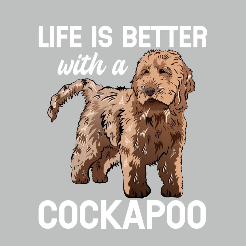 Cockapoo Hund