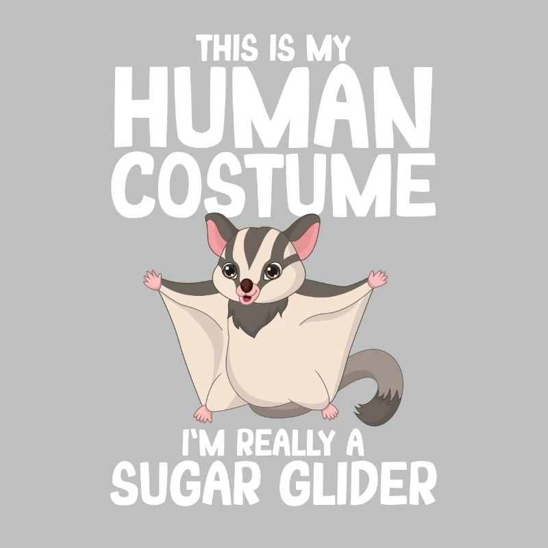 Sugar Glider Flughörnchen