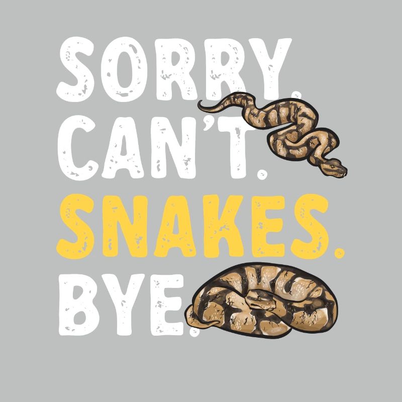 Ball Python Schlange Königspython