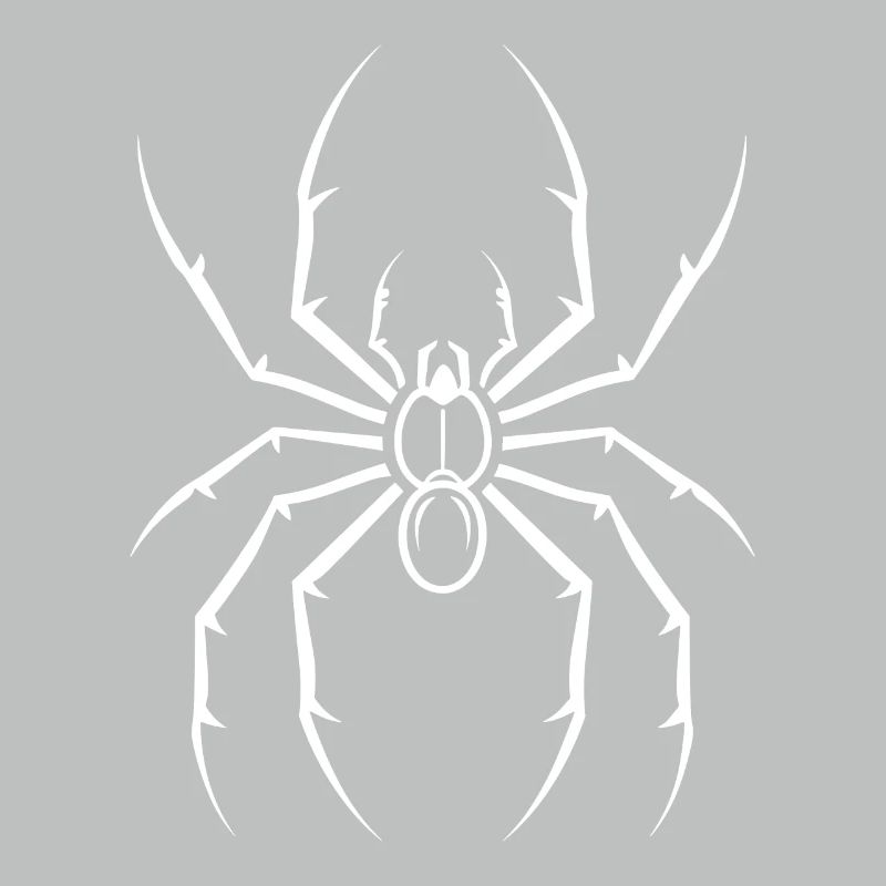 Spinne