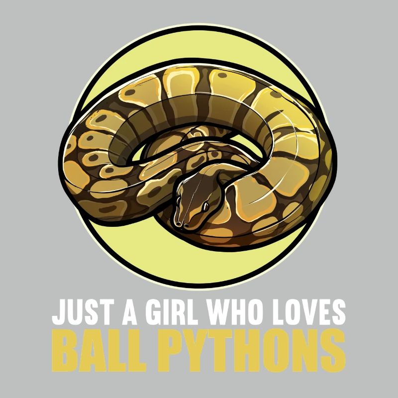 Ball Python Königspythons Königspython