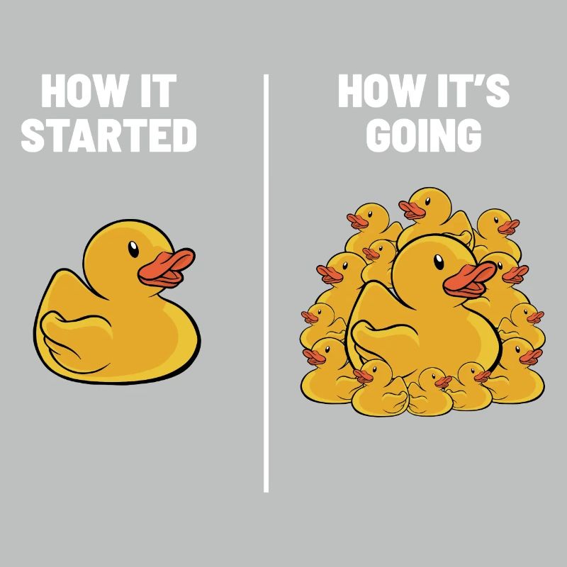 Rubber Duck Duckling Funny How It Started How It's