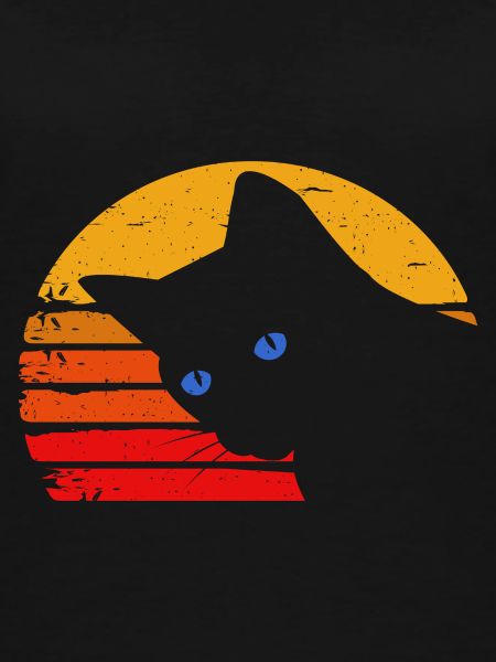 Black Cat with Blue Eyes
