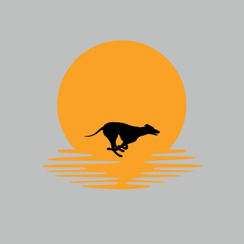 Coucher de Greyhound