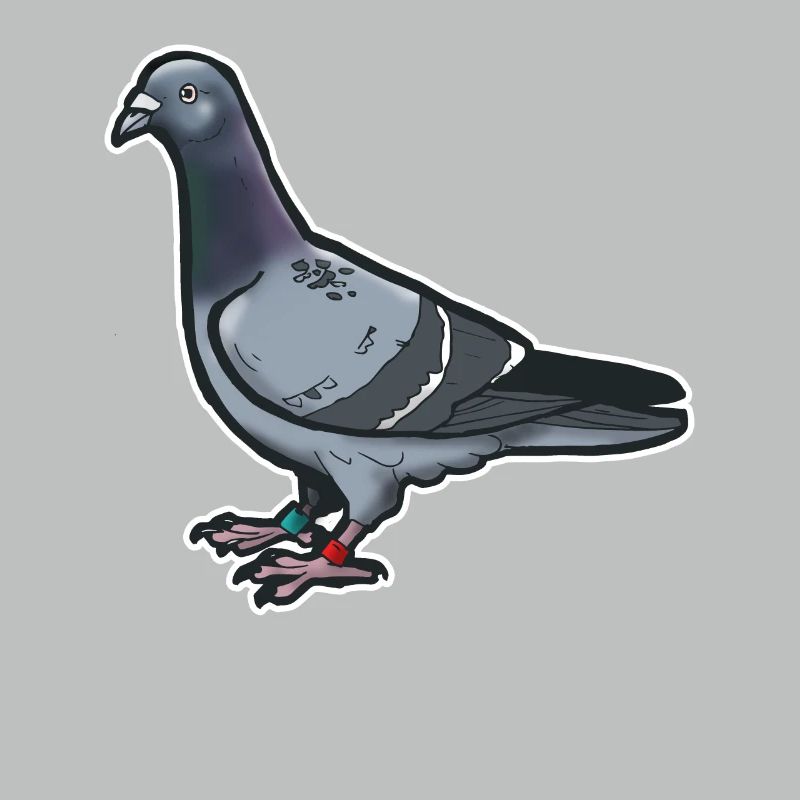 Comic Funny Dove Bird Gift Idea Pigeon