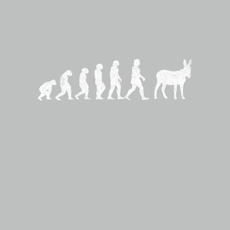 Esel Maultiere Maultier Mulis Evolution