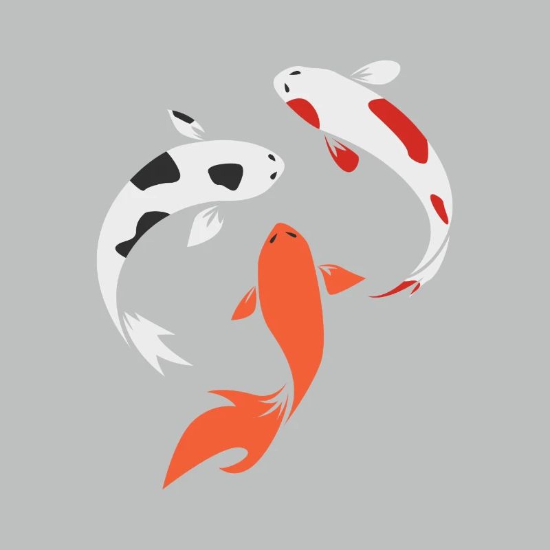 Koi