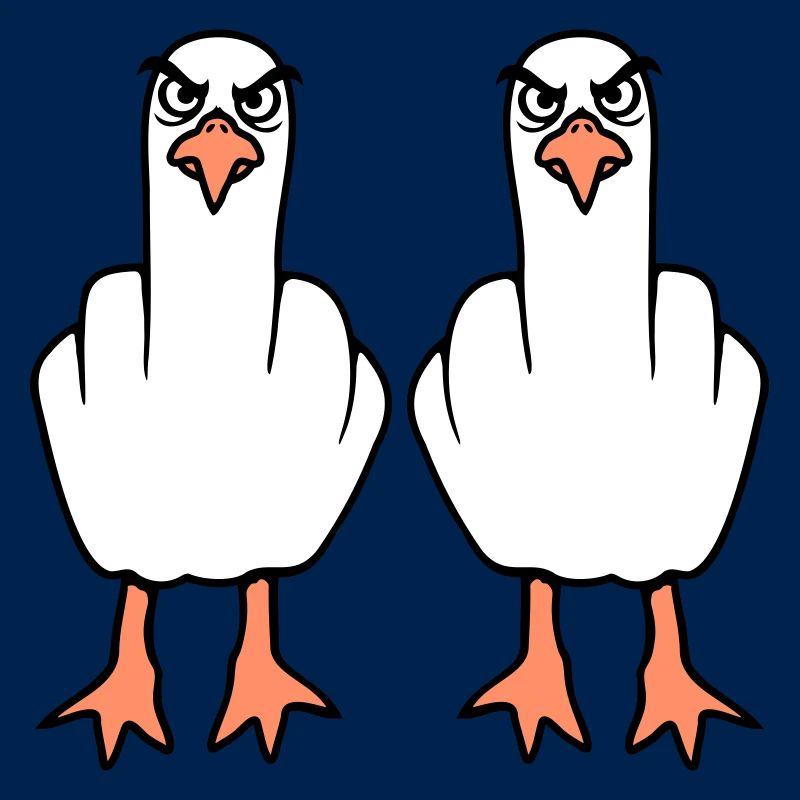 2 Seagulls Doigt d’honneur Insulte Stinkfinger Équipe