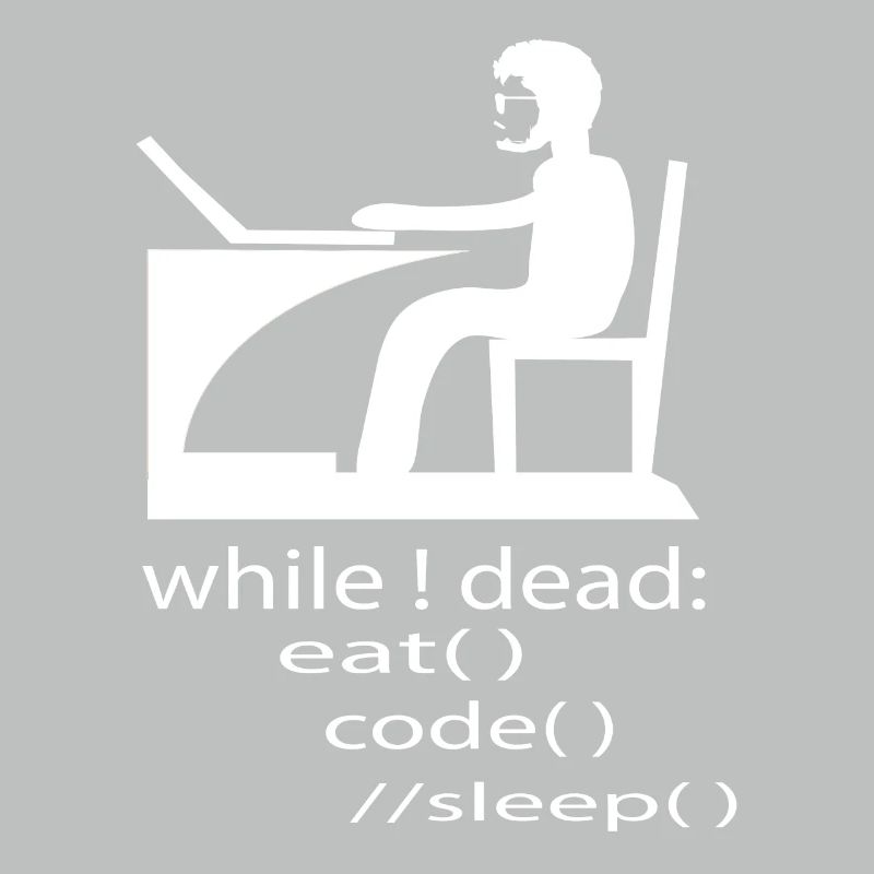 Softwareentwickler Programmierer Geschenk