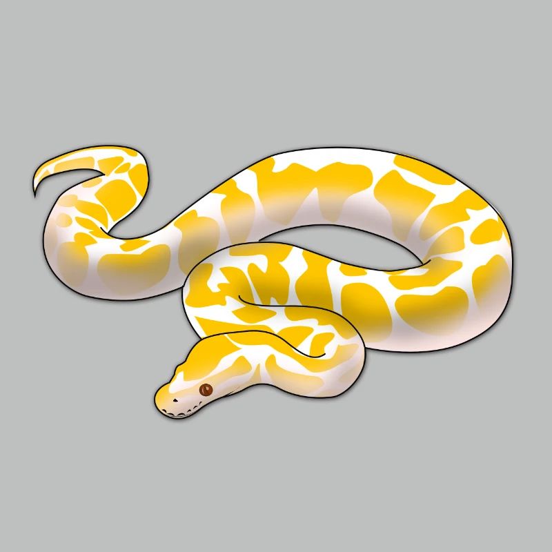 Albino ball python Python regius ballpython motif
