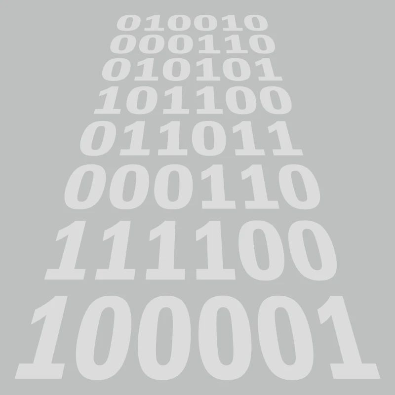 Binary Code Program Language