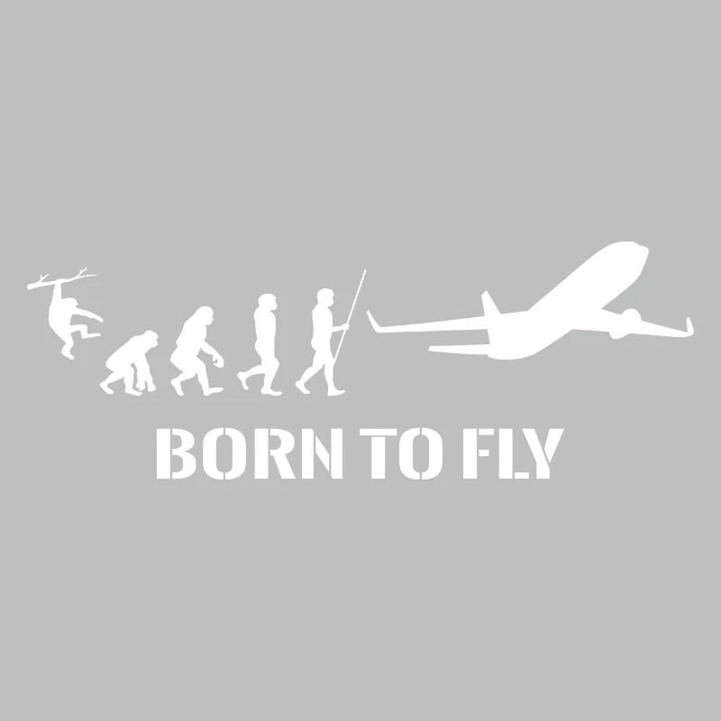 Airplane Evolution Pilot Flying Flying