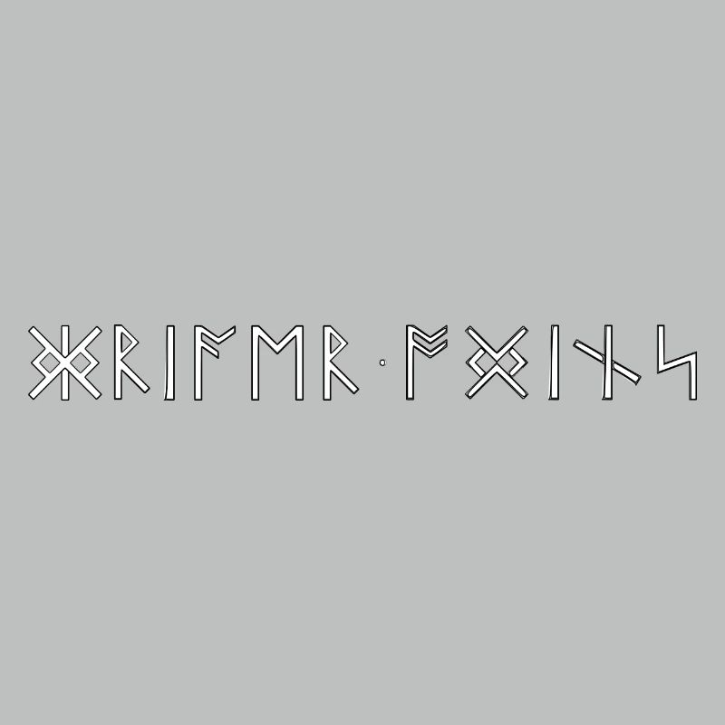Warrior Odin's Runic Script Germanic Vikings