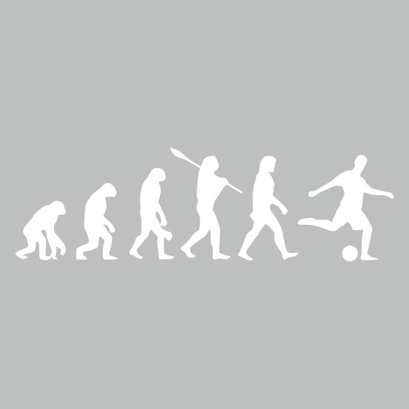 Soccer Evolution