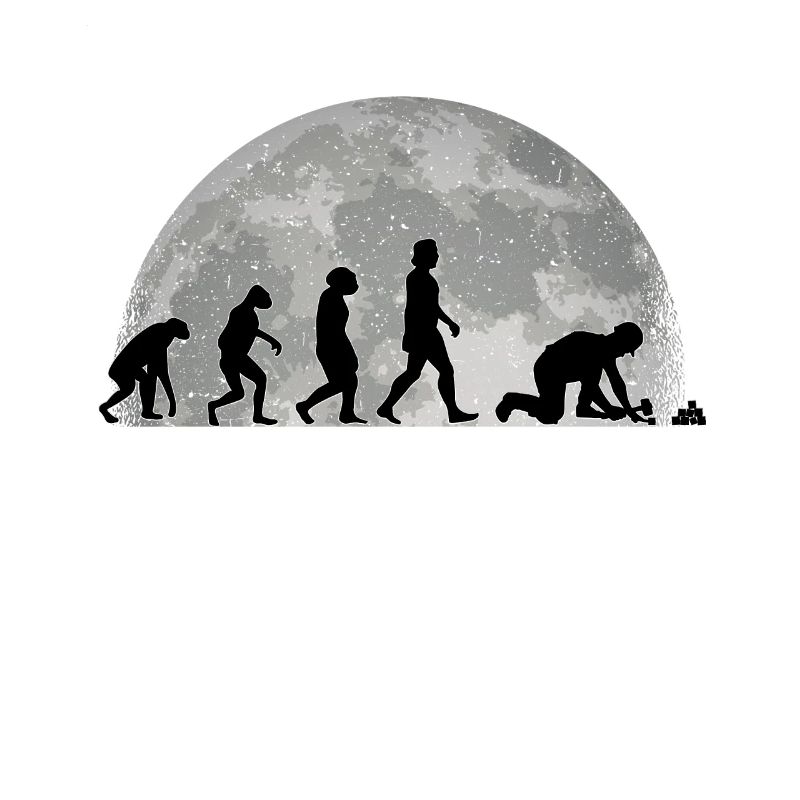 Pavage Evolution Lune Pierre Cadeau