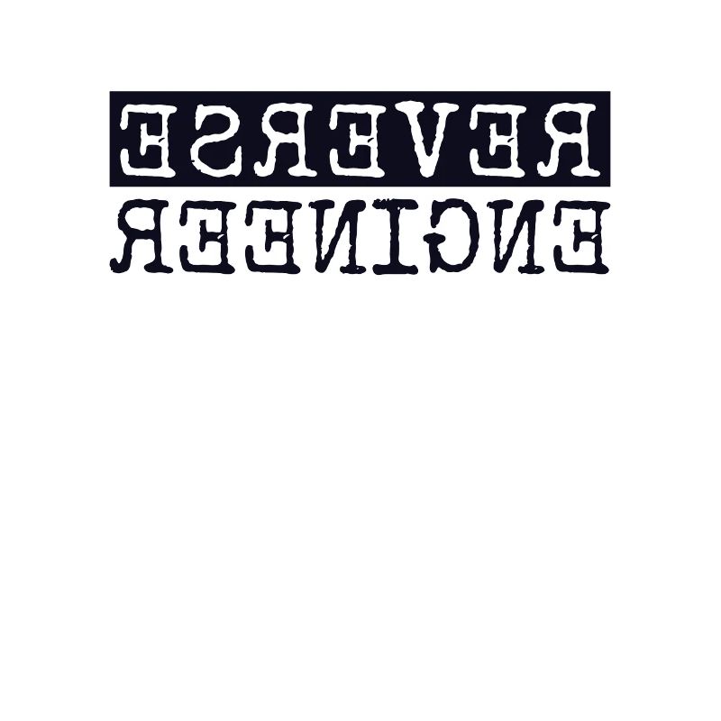 Reverse Engineer Softwareingenieur Developer
