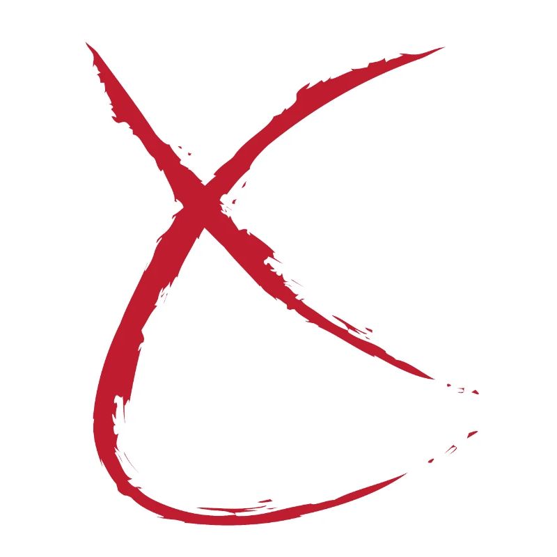 X network