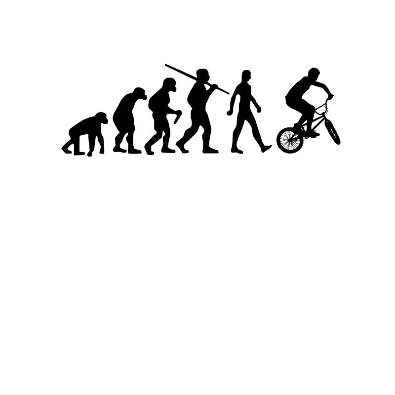 BMX Evolution BMX Rad