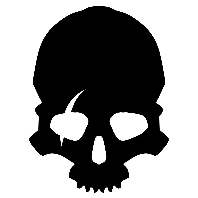 Skeleton skull