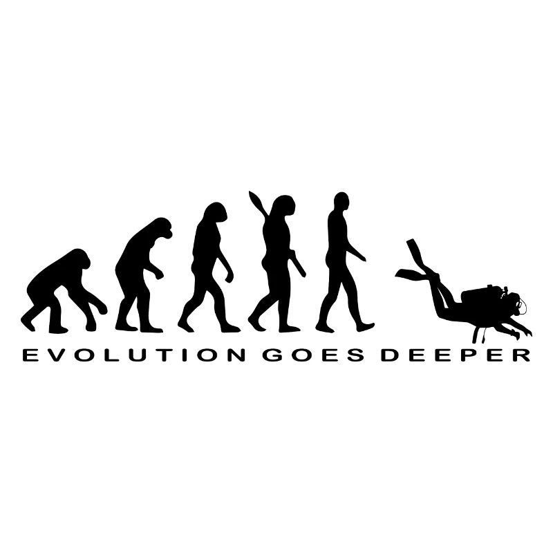 Diving Dive tauchen