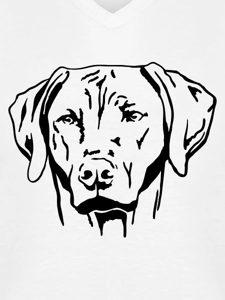 Rhodesian Ridgeback