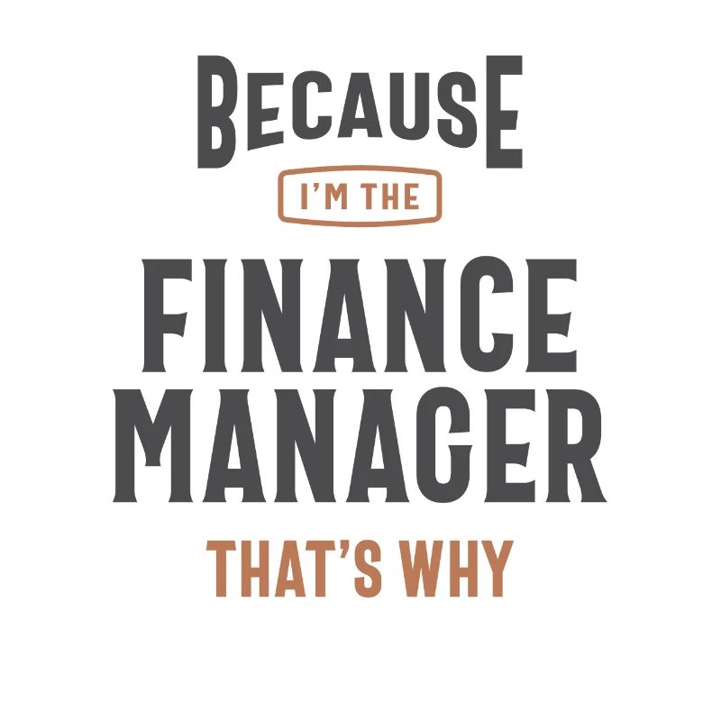 Beruf des Finanzmanagers