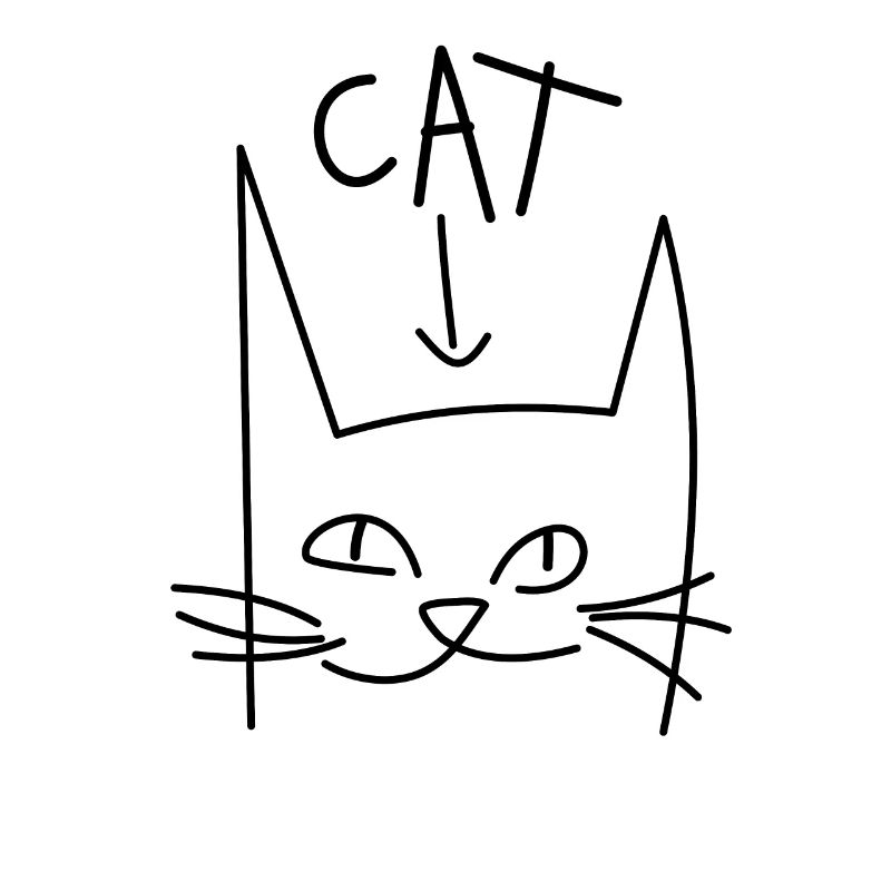 Chat Chat cool chat