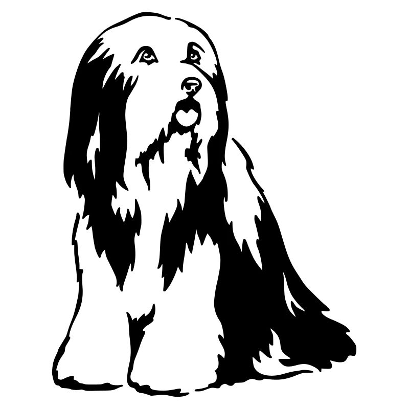 Bearded Collie
