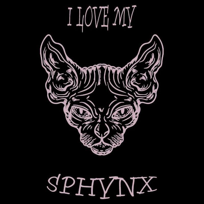 Chat nu Sphynx chat