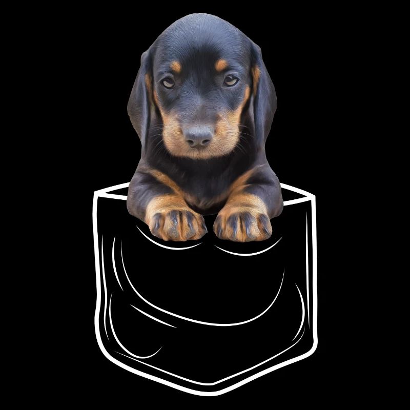 Teckel Teckel teckel de toit de blaireau poche poitrine de chien de poitrine