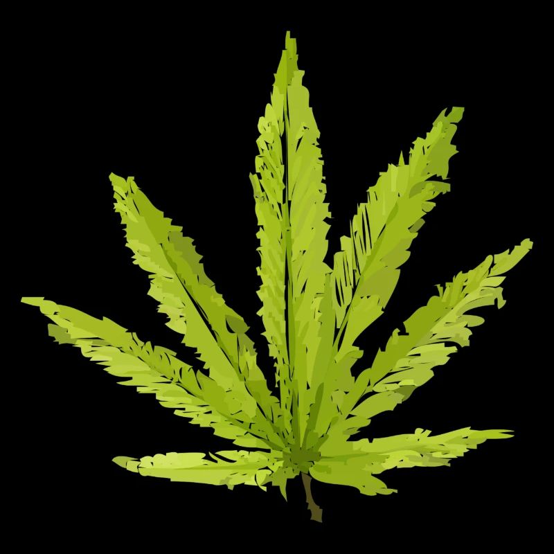 Hemp Leaf
